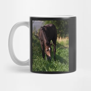 TB COLT Mug